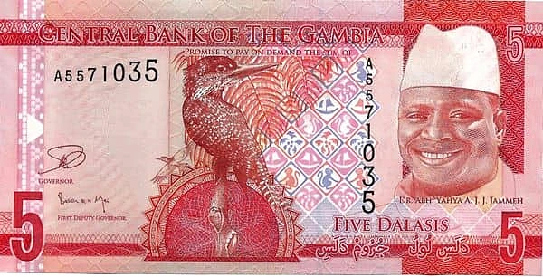 5 dalasis