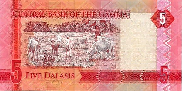 5 dalasis