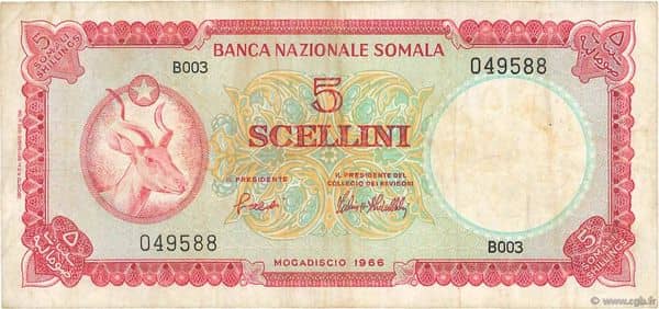 5 Scellini