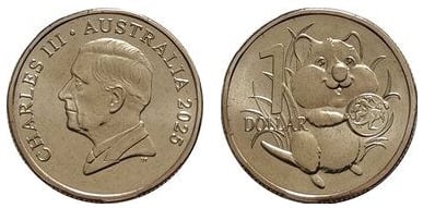 1 dólar (adorável cria de quokka)