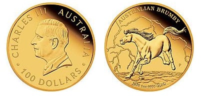 100 dólares (Brumby)