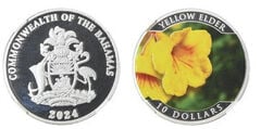 10 dólares (Ancião amarelo)