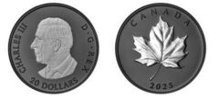 20 dólares (Elegant Maple Leaf)