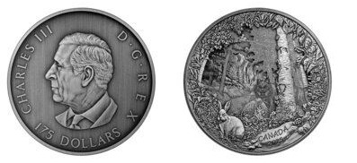 175 dólares (Predador ou presa em caixa de sombra)