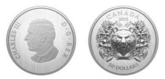50 dólares (Urso heráldico)
