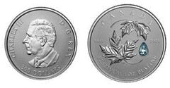 300 dólares (Maple Leaf Forever)