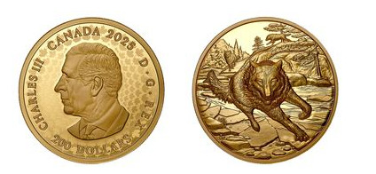 200 dólares (Lobo Cinzento)