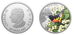 20 dólares (Oriolo de Baltimore)