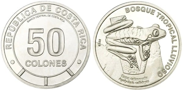 50 colones (Floresta tropical nublada - Rã de olhos vermelhos)