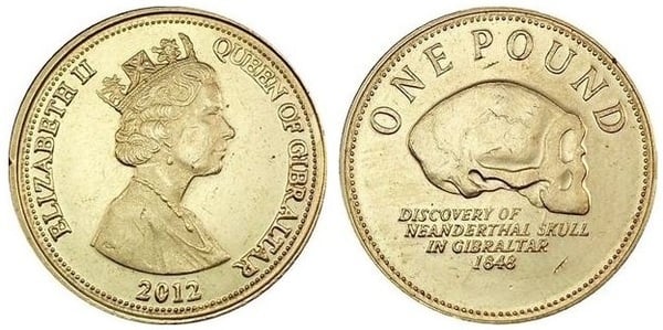 1 pound (Crânio de Neandertal)