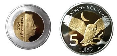 5 euros (Athene noctua)