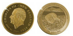 10 dólares (kiwi grande pintado)