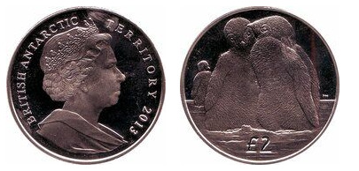 2 libras (pintainhos de pinguim-imperador)