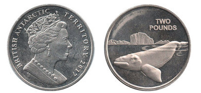 2 libras (baleia franca austral)
