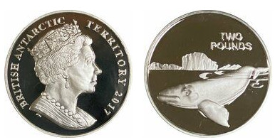 2 libras (baleia franca austral)