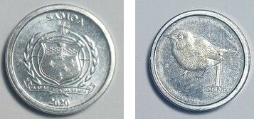 1 sene (Papagaio de Samoa)