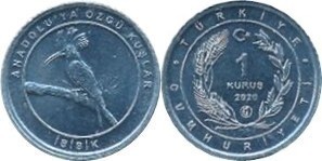 1 kuruş (Poupa eurasiática)