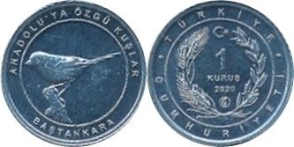 1 kuruş (Chapim azul)