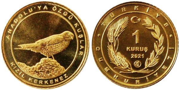 1 kuruş (Peneireiro)