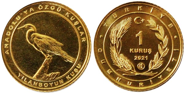 1 kuruş ( Margarida africana)