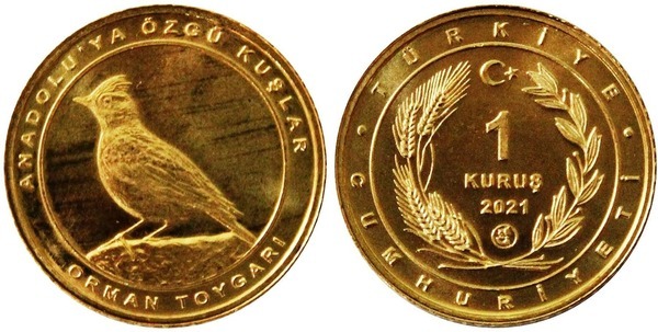 1 kuruş (Cotovia totovia)