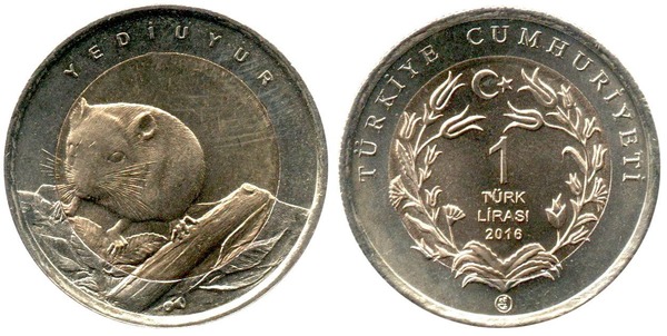 1 lira (ratazana)