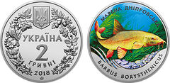 2 hryvni (barbo do Dnieper - Barbus borysthenicus)