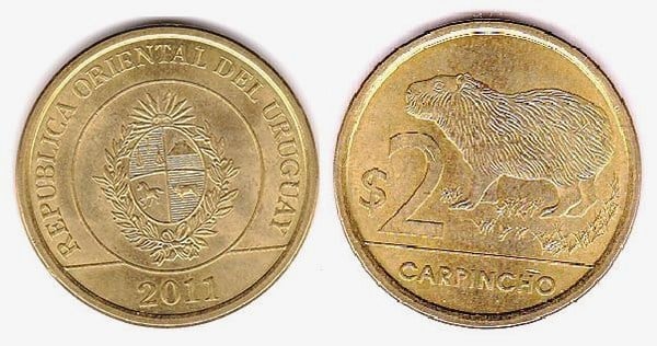 2 pesos (Capivara)