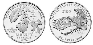 100 dólares (American Platinum Eagle)