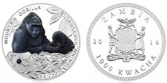 1000 kwacha (Animais em perigo de extinção: gorila de montanha)